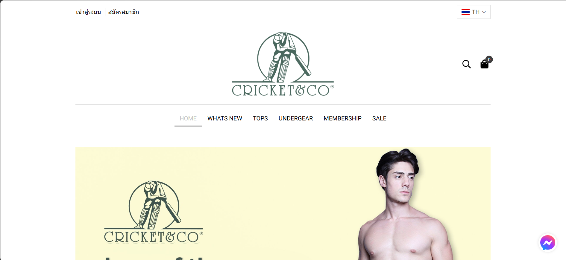 Cricket and Co website preview